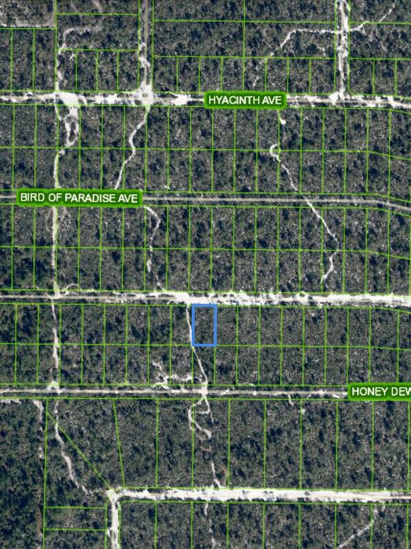 Sebring, FL 33875,2221 Iris AVE