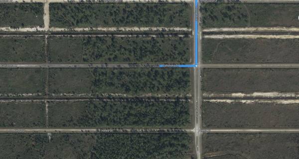 Indian Lake Estates, FL 33855,Tbd Calliandra DR