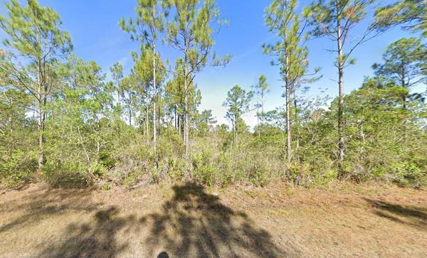 Indian Lake Estates, FL 33855,Tbd Calliandra DR