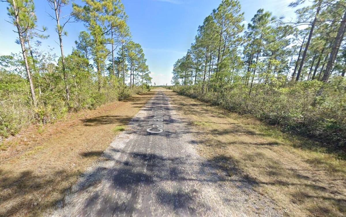 Indian Lake Estates, FL 33855,Tbd Calliandra DR