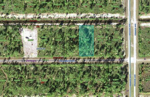 Indian Lake Estates, FL 33855,Tbd Calliandra DR