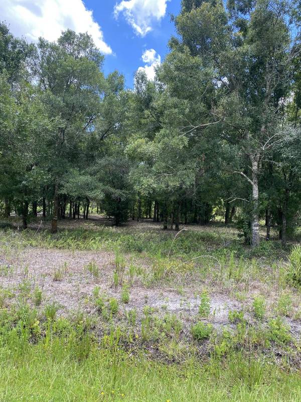 Okeechobee, FL 34972,17664 NW 280th ST