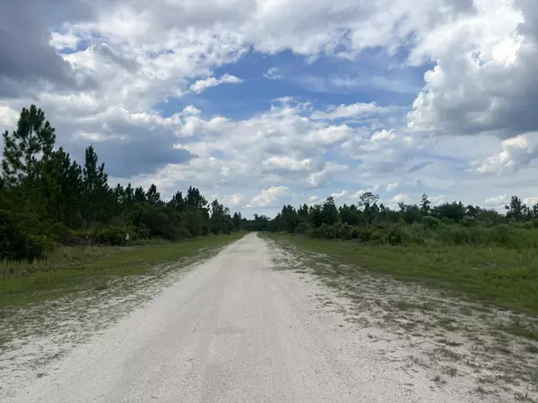 Lake Wales, FL 33898,0 Pinnata DR