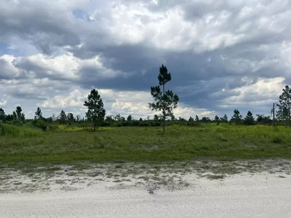 Lake Wales, FL 33898,0 Pinnata DR