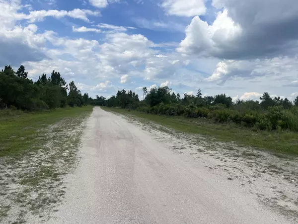 Lake Wales, FL 33898,0 Pinnata DR