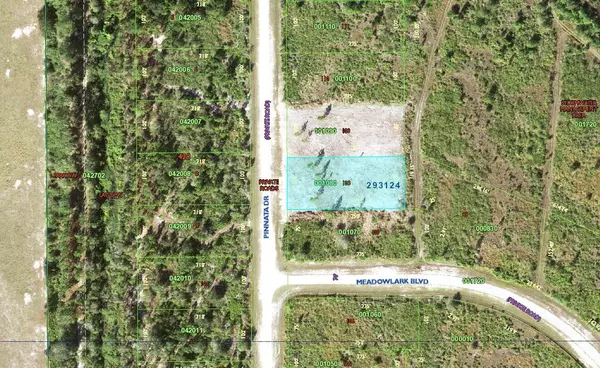 Lake Wales, FL 33898,0 Pinnata DR