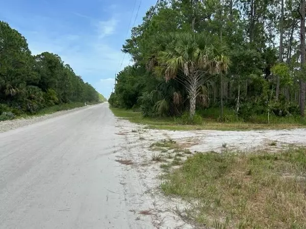 Fellsmere, FL 32948,13275 85th ST