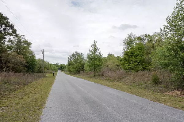 Dunnellon, FL 34431,Lot 31 SW Valencia Heights AVE