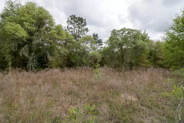 Dunnellon, FL 34431,Lot 31 SW Valencia Heights AVE