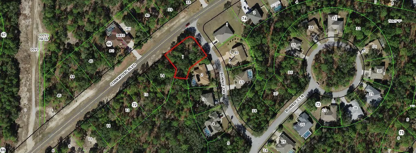 2 Bonnie DR, Homosassa, FL 34446