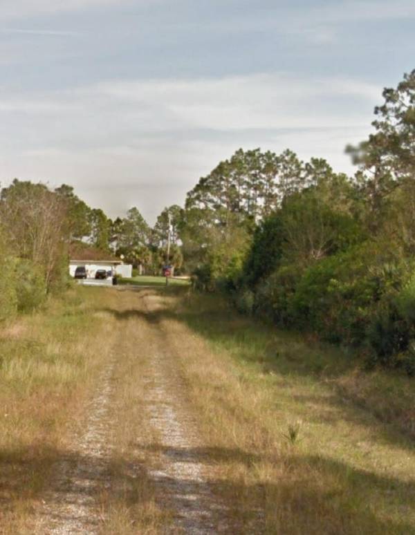 Lehigh Acres, FL 33974,1238 E Ramus ST