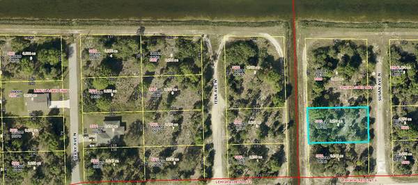 Lehigh Acres, FL 33971,5903 N Susan AVE