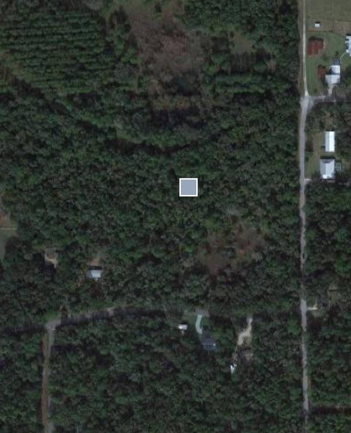 Crystal River, FL 34428,10088 W Ernie CT