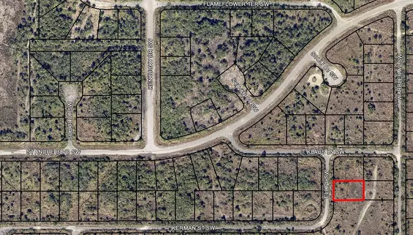 Palm Bay, FL 32908,2995 SW Ell PL