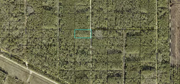 0 Leroy, Hastings, FL 32145