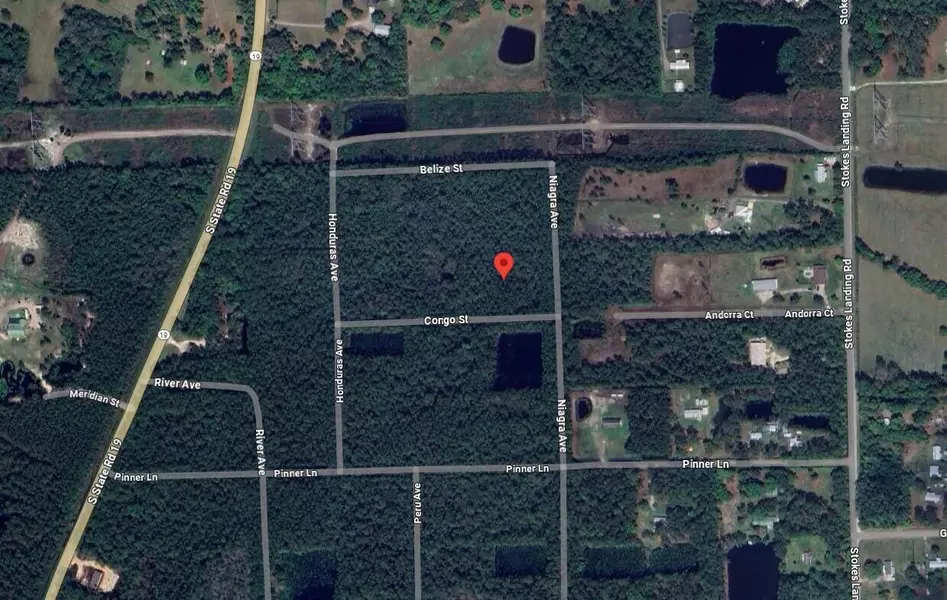 102 Congo ST, Palatka, FL 32177