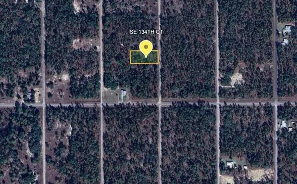 Dunnellon, FL 34431,0 SE 134th CT