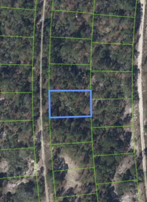 211 Sunflower DR, Lake Placid, FL 33852