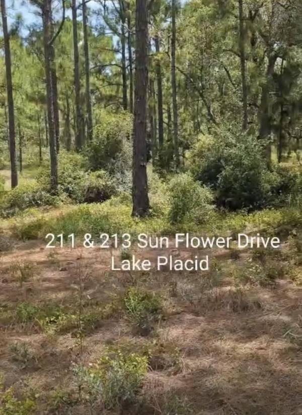 Lake Placid, FL 33852,213 Sun Flower DR