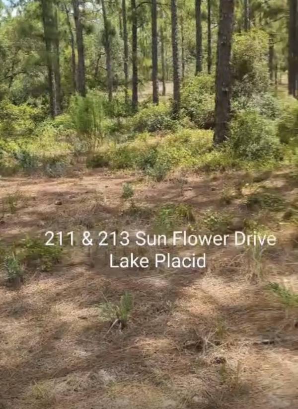 Lake Placid, FL 33852,213 Sun Flower DR