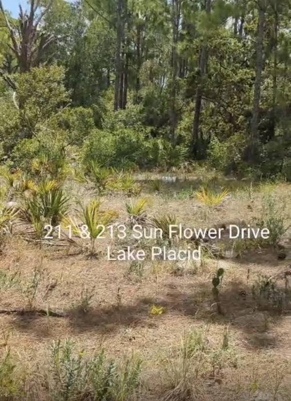 Lake Placid, FL 33852,213 Sun Flower DR