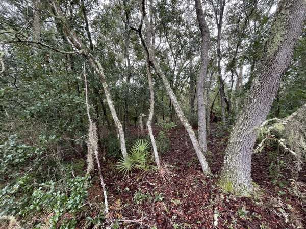 Interlachen, FL 32148,Tbd Glisson