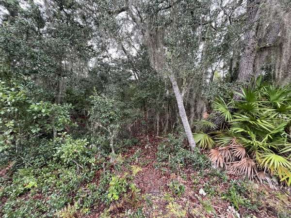 Interlachen, FL 32148,Tbd Glisson