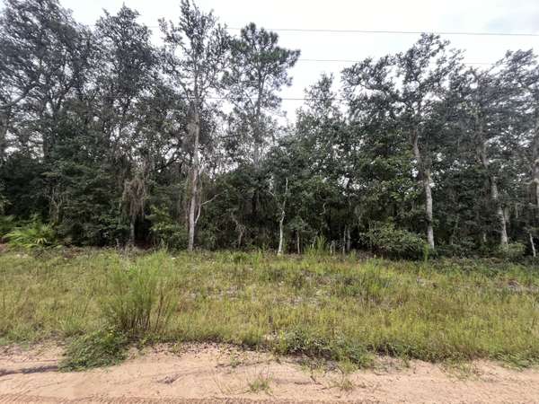 Interlachen, FL 32148,Tbd Glisson