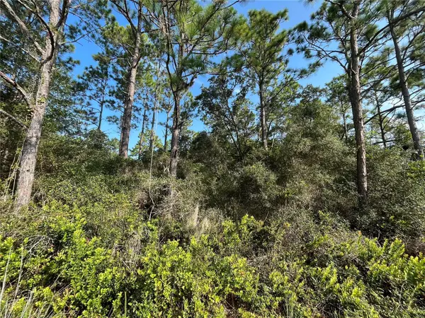 159 Deer RD,  Satsuma,  FL 32189