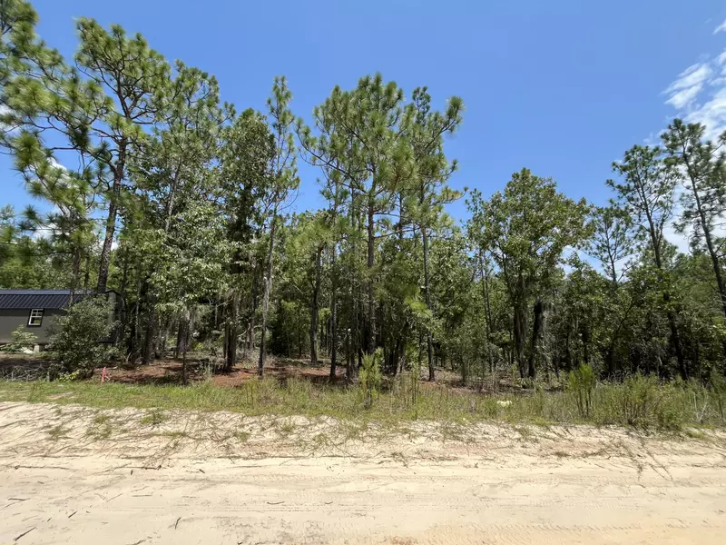 424 Nova Scotia ST, Interlachen, FL 32148