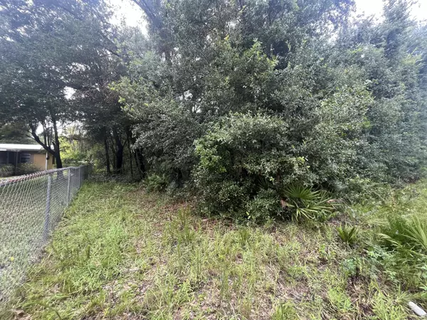 Interlachen, FL 32148,0 Sioux AVE