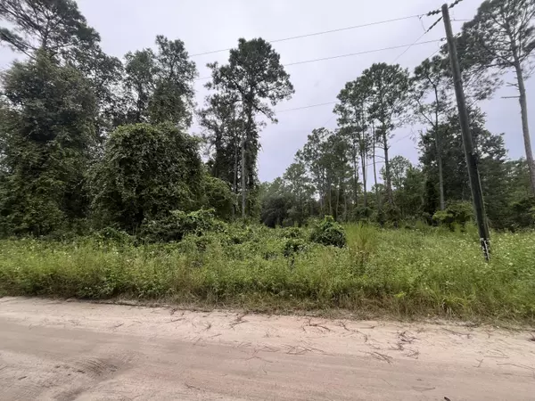 Satsuma, FL 32189,0 Hickory Nut TRL