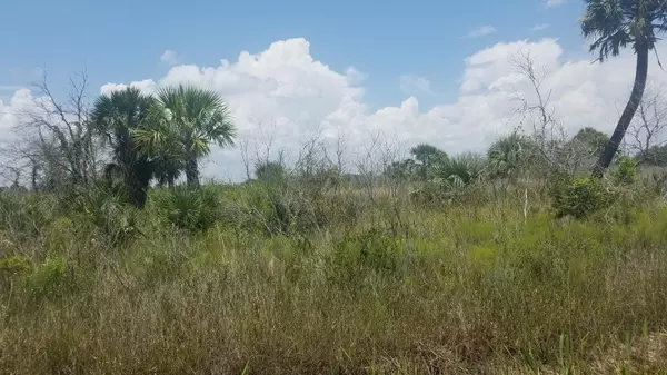 19578 NW 266th ST, Okeechobee, FL 34972