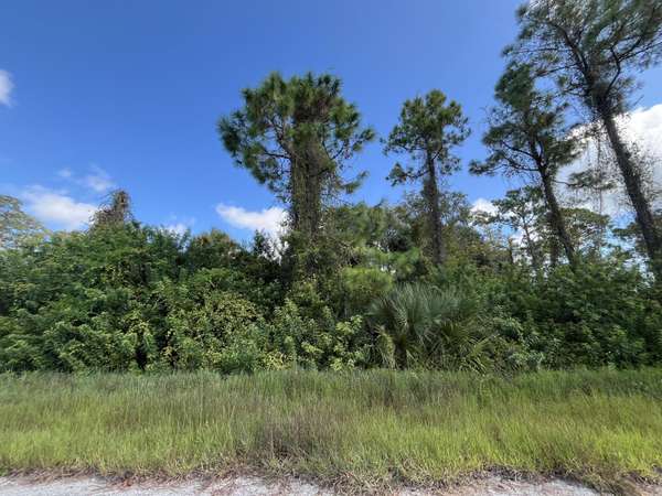 3201 E 20th ST,  Alva,  FL 33920