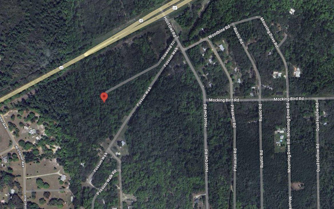 Satsuma, FL 32189,121 Doewood TRL