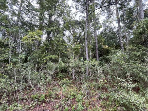 Satsuma, FL 32189,121 Doewood TRL