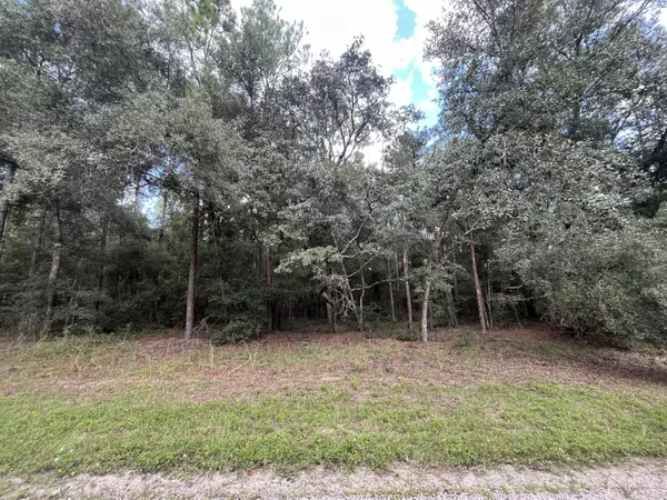 Citrus Springs, FL 34434,399 E Enfield LN