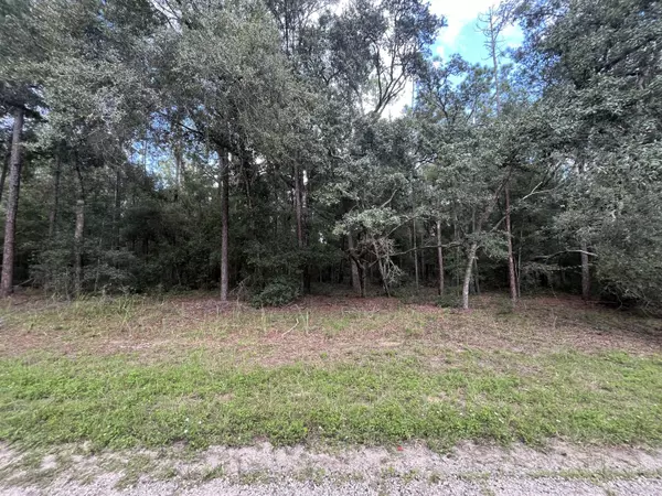 Citrus Springs, FL 34434,399 E Enfield LN