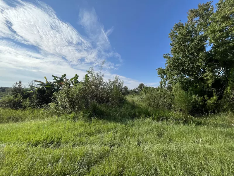 19466 NW 258th ST, Okeechobee, FL 34972