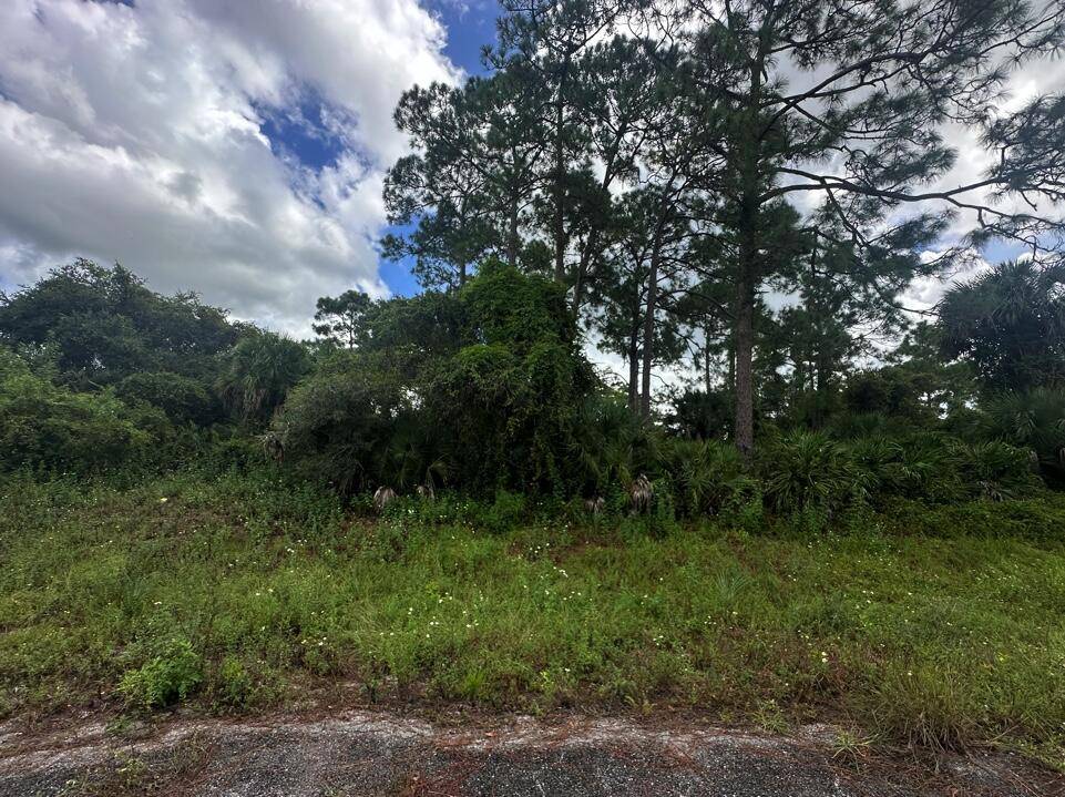 Labelle, FL 33935,112 Horseshoe LOOP