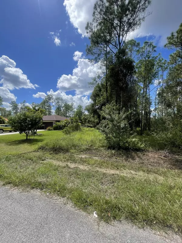 Lehigh Acres, FL 33972,1315 Roosevelt AVE