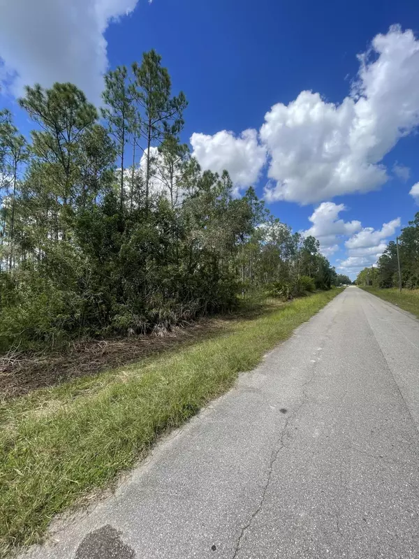 Lehigh Acres, FL 33972,1315 Roosevelt AVE