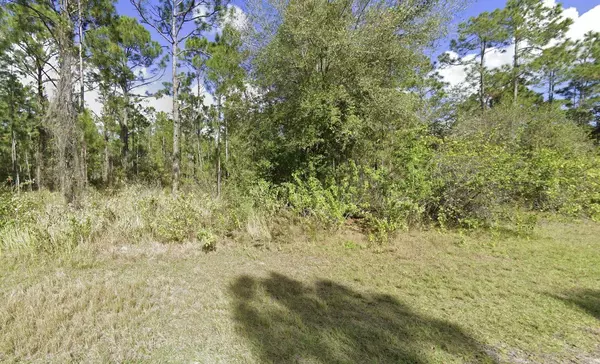 Indian Lake Estates, FL 33855,0 Magnolia DR