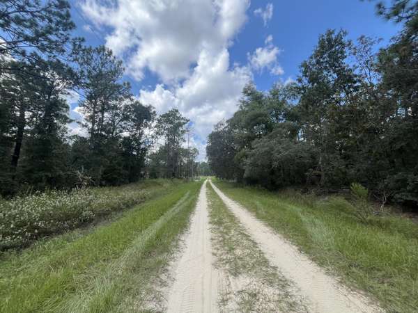 Dunnellon, FL 34432,Tbd SW 82nd LN