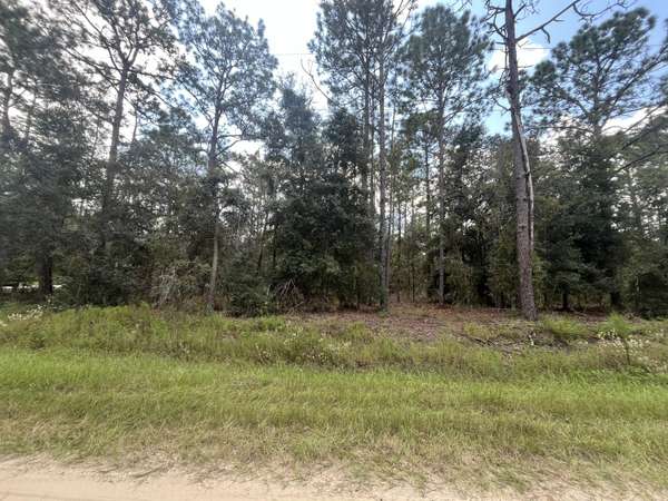 Dunnellon, FL 34432,Tbd SW 82nd LN