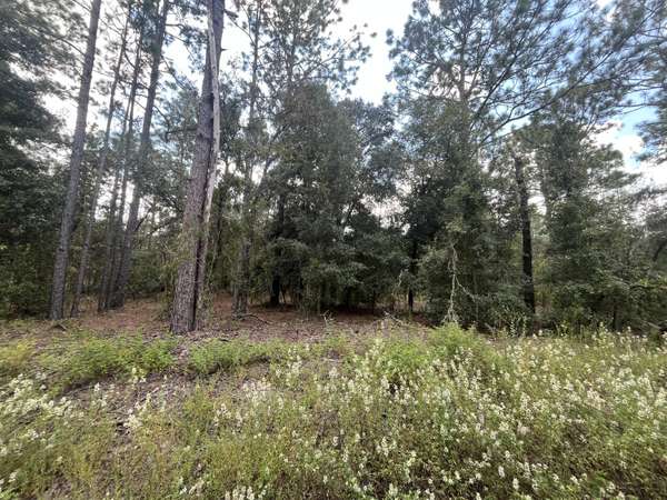 Dunnellon, FL 34432,Tbd SW 82nd LN