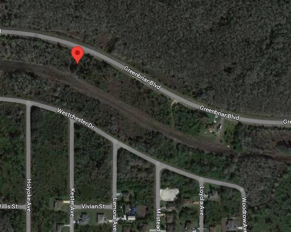 Lehigh Acres, FL 33972,483 Greenbriar BLVD