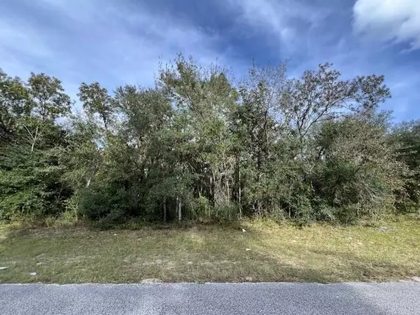 Tbd SW 146th Lane RD, Dunnellon, FL 34432