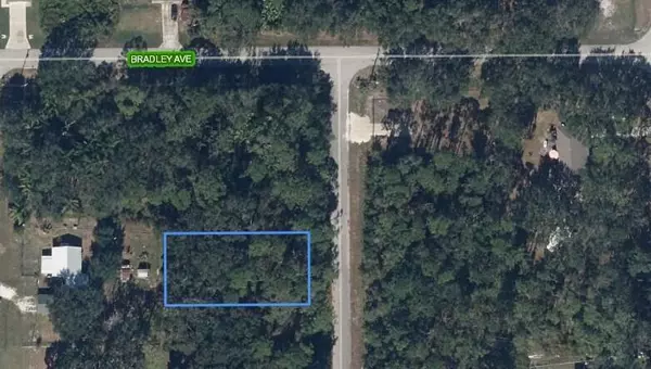 Lake Placid, FL 33852,462 Fletcher AVE