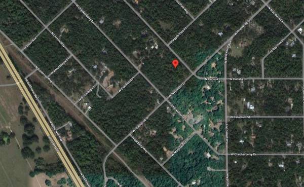 Crystal River, FL 34428,8996 N Cacalia DR